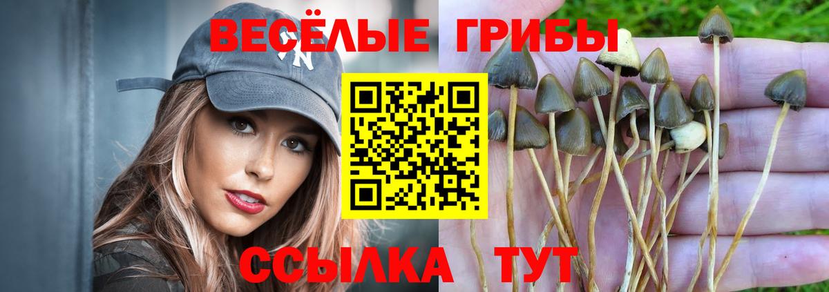 Галлюциногенные грибы ЛСД  Псилоцибиновые грибы мухоморы  Валуйки  Вход с VPN 